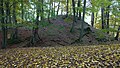 Blick aufs das südliche hochmittelalterliche Burgplateau Ri. Ederseetal