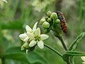 Vorschaubild der Version vom 11:47, 6. Jun. 2016