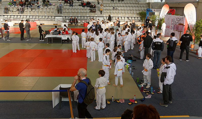 File:2018-01-13 10-46-40 tournoi-judo-belfort.jpg