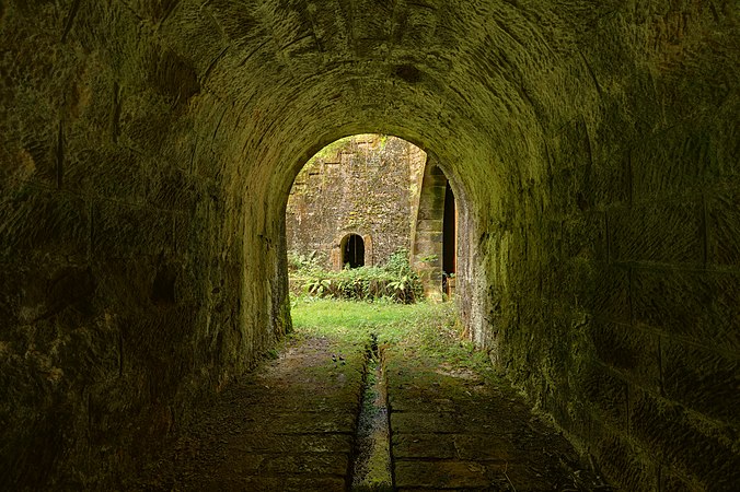 Tunnel de la Forêt.