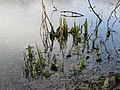 Saarbrücken, Februar 2018