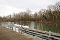 Deutsch: Der Stadthafen in Halle (Saale). Polski: Port Stadthafen w Halle (Saale), Niemcy.