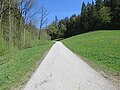 2019-04-25 View from Bichlhäusl to north, Haltgraben, Frankenfels