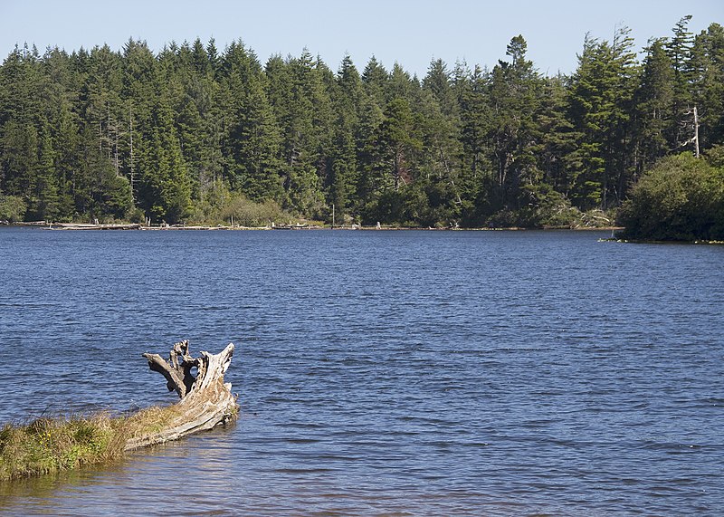 File:204 upper empire lake munsel odfw (15285240829).jpg