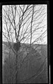 308. A. Porcupine, Sulphide, Ont, 1912 (26801244450).jpg