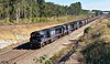 A Pacific National freight train at Branxton, NSW, in 2016