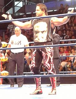 Ricky Banderas Puerto Rican professional wrestler