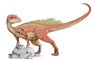 <i>Abrictosaurus</i> Extinct genus of dinosaur from the early Jurassic of southern Africa