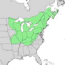 Acer saccharum range map 1.png