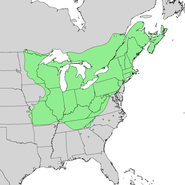 Description de l'image Acer_saccharum_range_map_1.png.