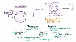 Dosiero: Akuta leukemia.ŭebm