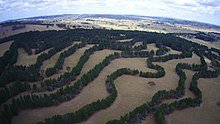 Contour planting integrated with animal grazing on Taylor's Run farm, Australia Agroforestry contour planting.jpg