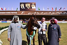 Un cheval roux et fin entouré d'hommes arabes en tenue traditionnelle, vus de face.