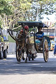 Alat transportasi dokar