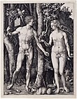 Adam and Eve (1504), copper engraving, 29.8 × 21.1 cm (Morgan Library & Museum, New York)