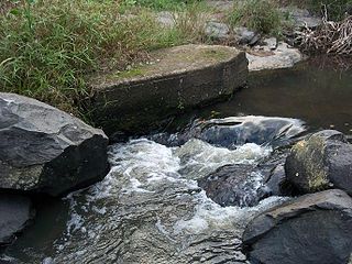 Amanzimtoti-rivier in Ilanda Wilds