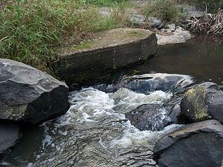 Fiume Amanzimtoti a Ilanda Wilds