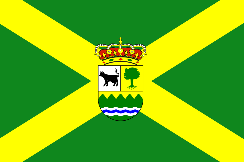 File:Amieva flag.svg