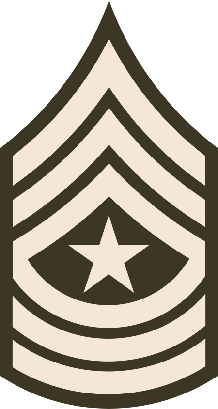 Tập_tin:Army-USA-OR-09c_(Army_greens).svg
