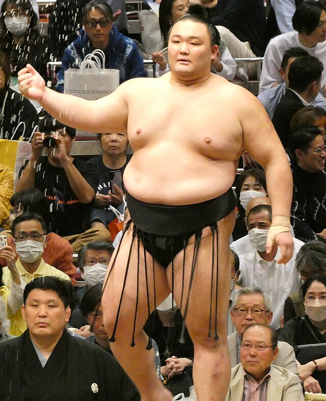 朝乃山広暉 - Wikipedia