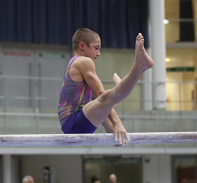 File:Austrian Future Cup 2018-11-23 Training Afternoon Parallel bars (Martin Rulsch) 0226.jpg