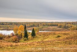 Yeltsovskiy Bölgesinde Sonbahar