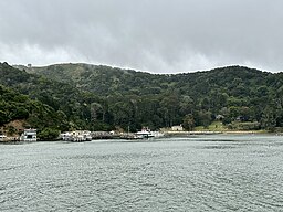 Ayala Cove, Angel Island, Juan de Ayala anchored here in 1775. The cove is currently the site of the Angel Island Ferry landing.