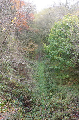 <span class="mw-page-title-main">Bromyard and Linton Light Railway</span> Narrow gauge railway in England