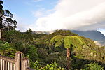 Thumbnail for Mouth of the Cirque de Salazie Important Bird Area