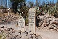 Grave of Tom McLaury.