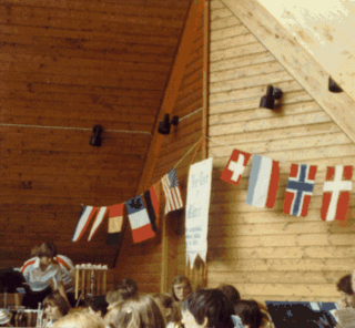 <span class="mw-page-title-main">Blue Lake Fine Arts Camp</span> Nonprofit organization in Twin Lake, Michigan