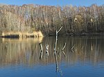 Moorhüttenteich (former clay pit of the brickworks)