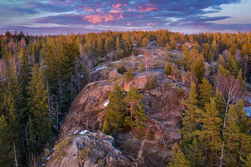 File:Bald rock surface of Högberget in Sotunki, Vantaa, Finland, 2021 April.jpg