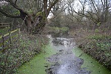 Begwary Brook 3. JPG