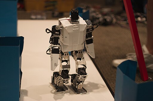 Bioloid humanoid robot