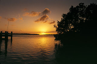 Adams Key Island north of the upper Florida Keys in Biscayne National Park