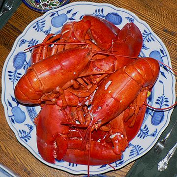 Boiled Maine lobster