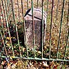 Northeast No. 4 Boundary Marker of the Original District of Columbia DC Boundary NE Mile 4.jpg