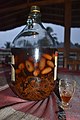 * Nomination Bottle of alcohol̝ and mixture of leaves and essentials for aperitif and health on a table in Benin --Adoscam 08:35, 12 March 2021 (UTC) * Decline  Oppose Out of focus. Sorry. --Ermell 09:43, 12 March 2021 (UTC)