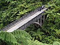 Mangapurua Bridge "Bridge to Nowhere"