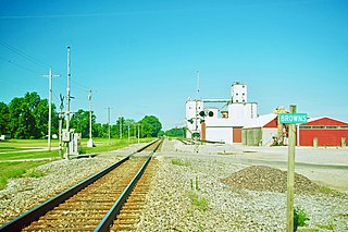 <span class="mw-page-title-main">Browns, Illinois</span> Village in Illinois, United States