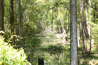 <span class="mw-page-title-main">Brunswick–Altamaha Canal</span>