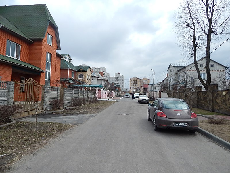 File:Bryansk, Bryansk Oblast, Russia - panoramio (22).jpg