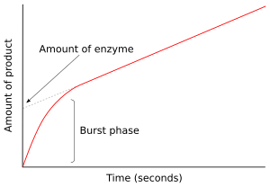 Pre-steady state progress curve, showing the burst phase of an enzyme reaction. Burst phase.svg