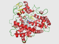 Иллюстративное изображение предмета Cytochrome CYP2D6