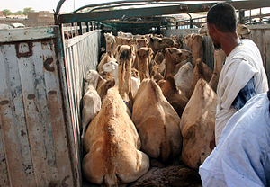 Mauritanie: Toponymie, Géographie physique, Histoire