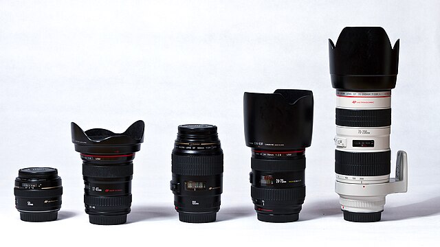 A collection of lenses a DSLR owner might have: 50mm F1.4, 17-40mm F4, 100mm F2.8 Macro, 24-70mm F2.8, 70-200mm F2.8