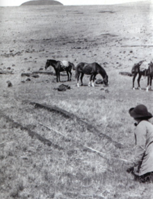 Photographie noire et blanc : au premier plan une personne en train de prendre les mesures de deux traces au sol. En second plan trois chevaux portant des sacs. En arrière plan une vaste plaine et une montagne.