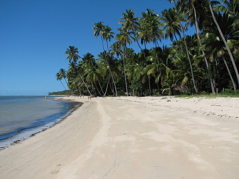 Praias para roteiro em Recife