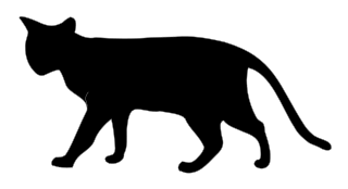 File:Black Cat 02812 svg vector nevit.svg - Wikimedia Commons